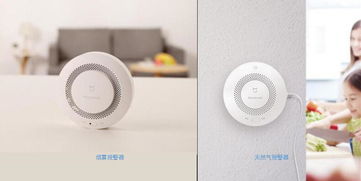 武漢小米科技 智能家居生態鏈的優質制造與創新引擎